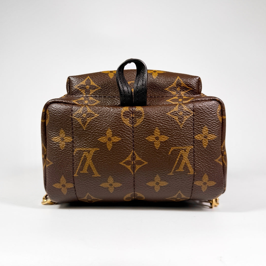 Louis Vuitton Monogram Mini Palm Springs Backpack