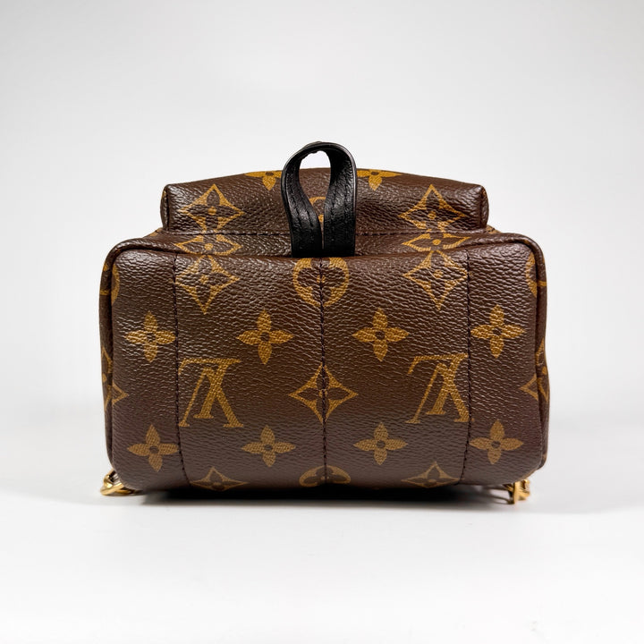 Louis Vuitton Monogram Mini Palm Springs Backpack