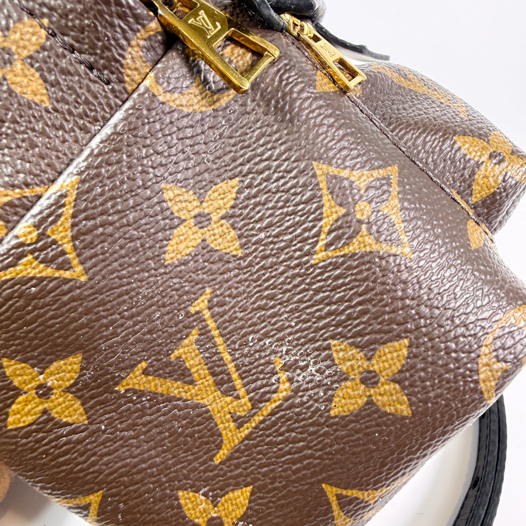 Louis Vuitton Monogram Mini Palm Springs Backpack