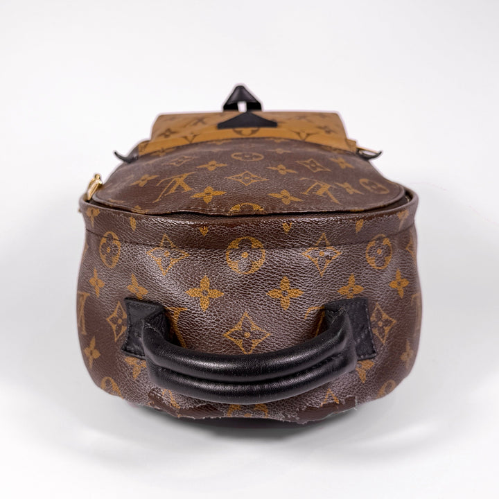 Louis Vuitton Reverse Monogram Palm Springs Backpack PM