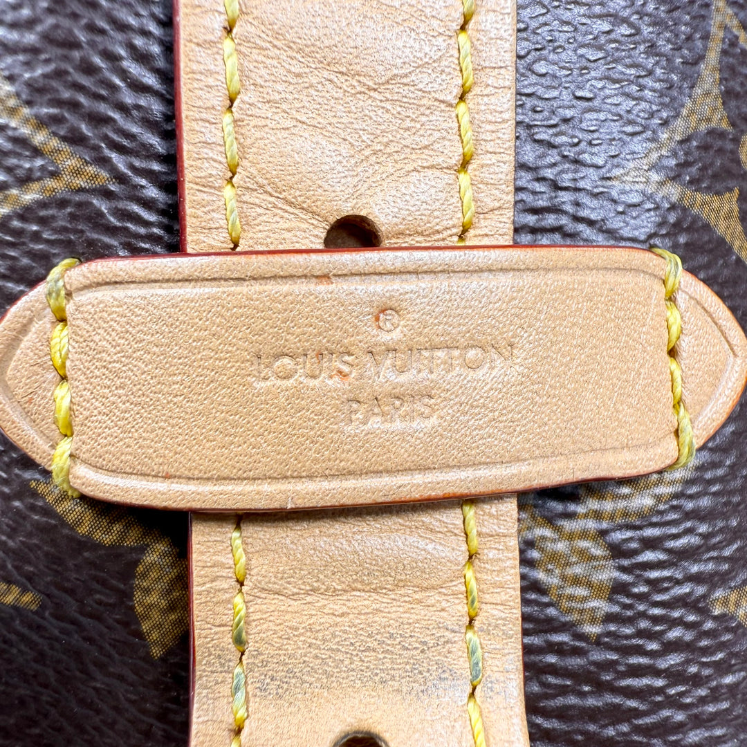 Louis Vuitton Monogram Carryall PM