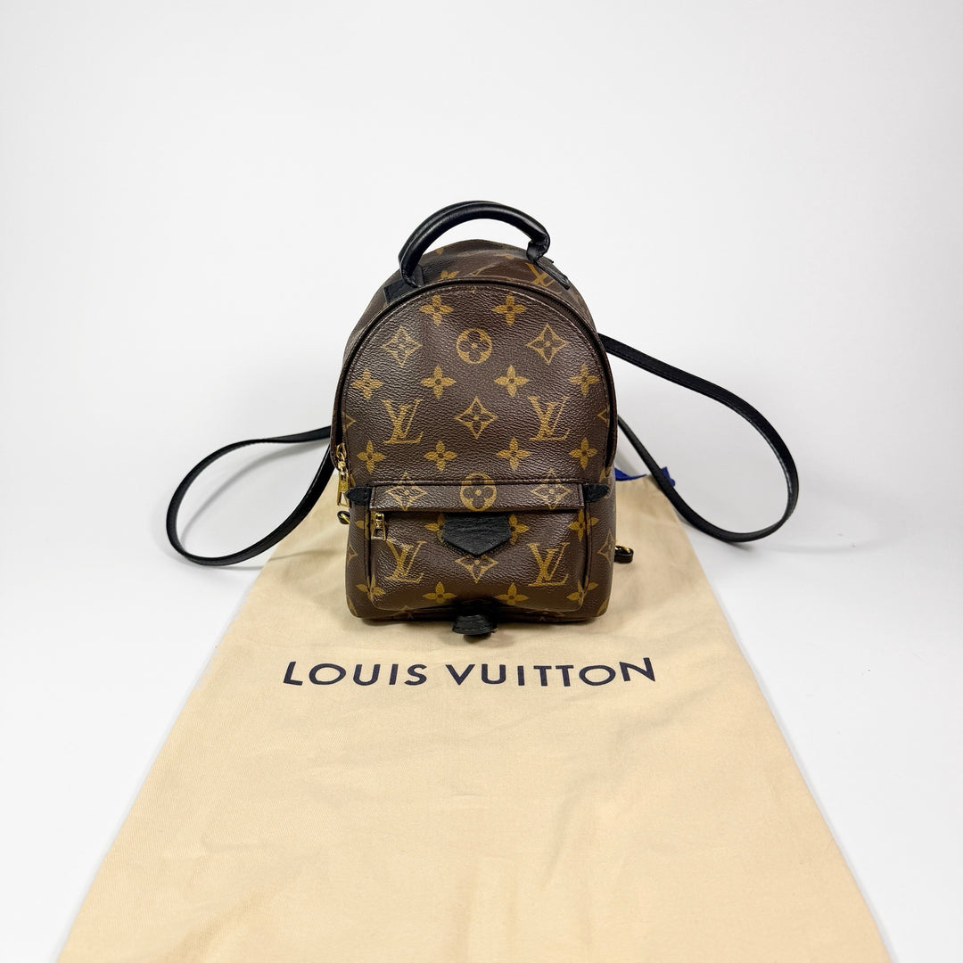 Louis Vuitton Monogram Mini Palm Springs Backpack