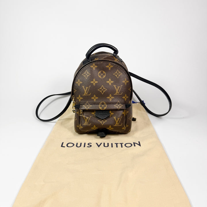 Louis Vuitton Monogram Mini Palm Springs Backpack
