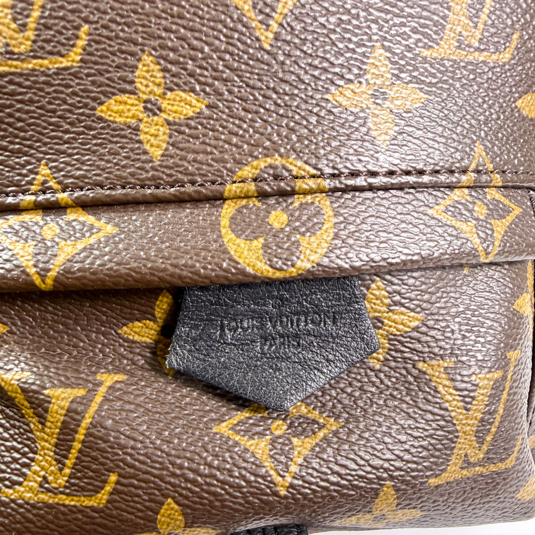 Louis Vuitton Monogram Mini Palm Springs Backpack