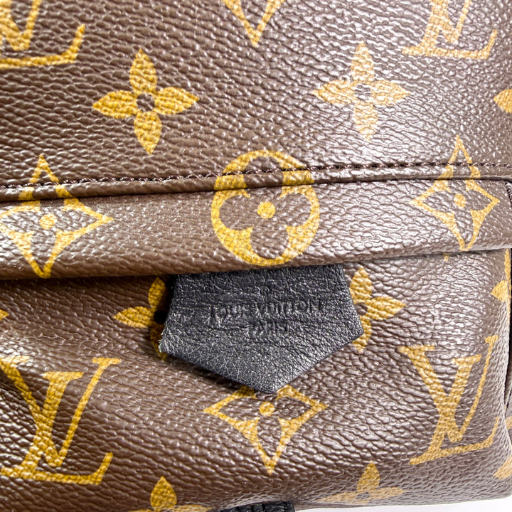 Louis Vuitton Monogram Mini Palm Springs Backpack