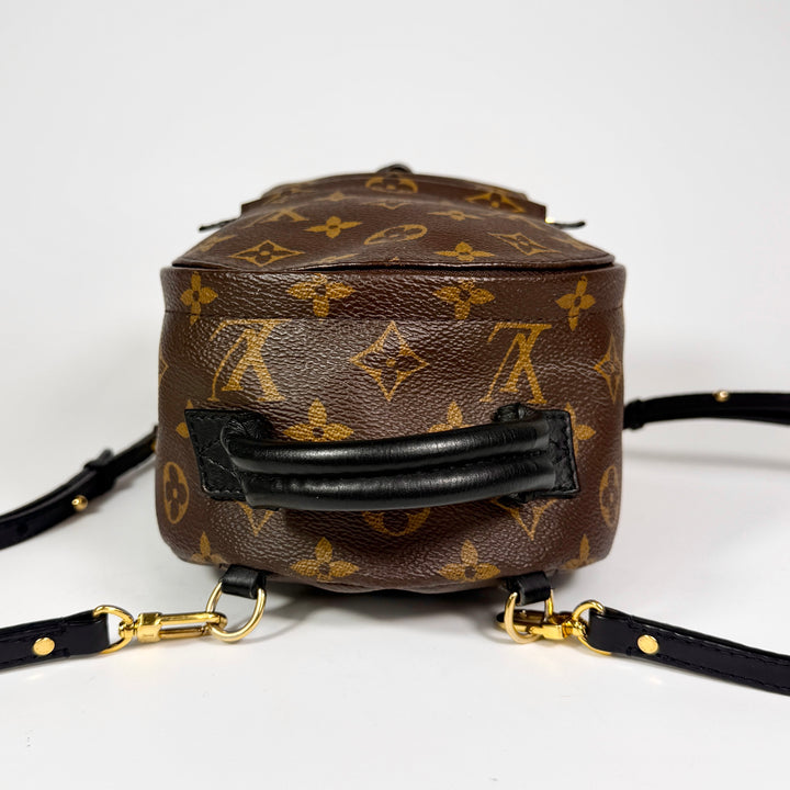 Louis Vuitton Monogram Mini Palm Springs Backpack