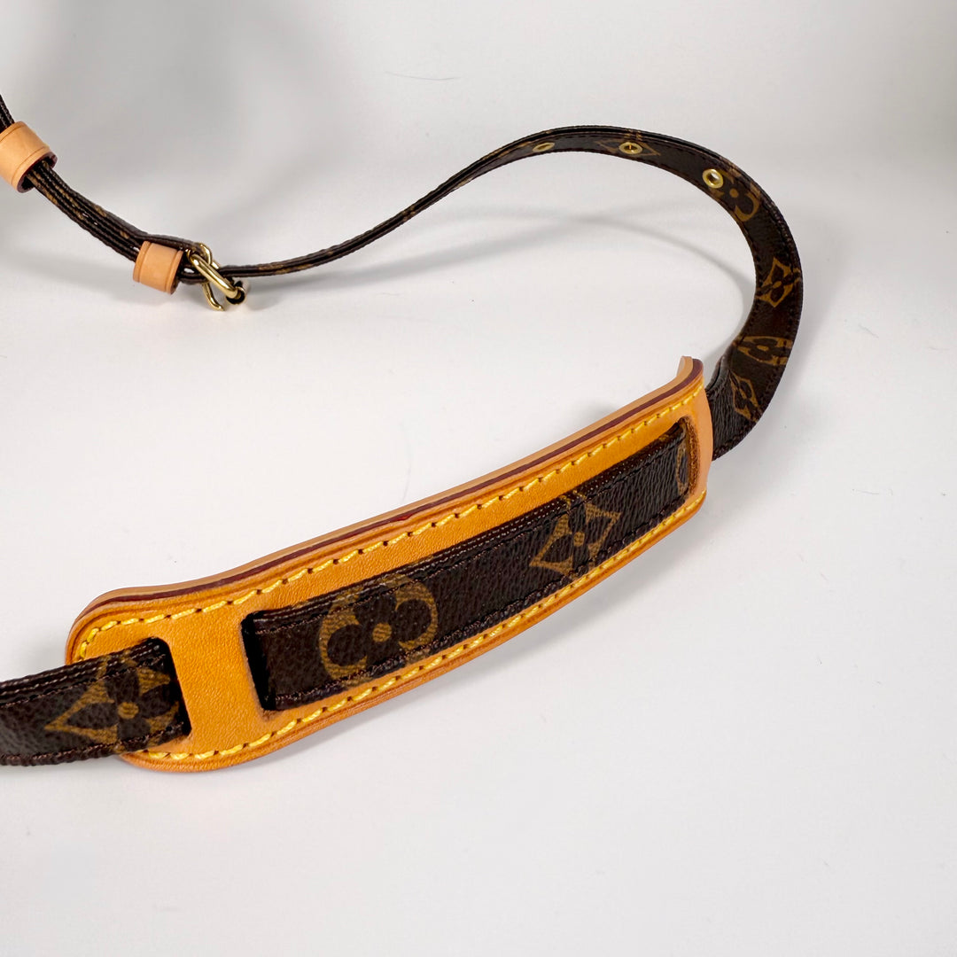 Louis Vuitton Monogram Danube 21