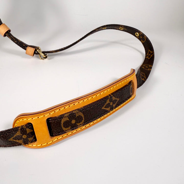 Louis Vuitton Monogram Danube 21