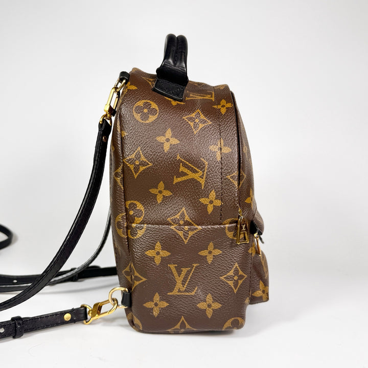 Louis Vuitton Monogram Mini Palm Springs Backpack