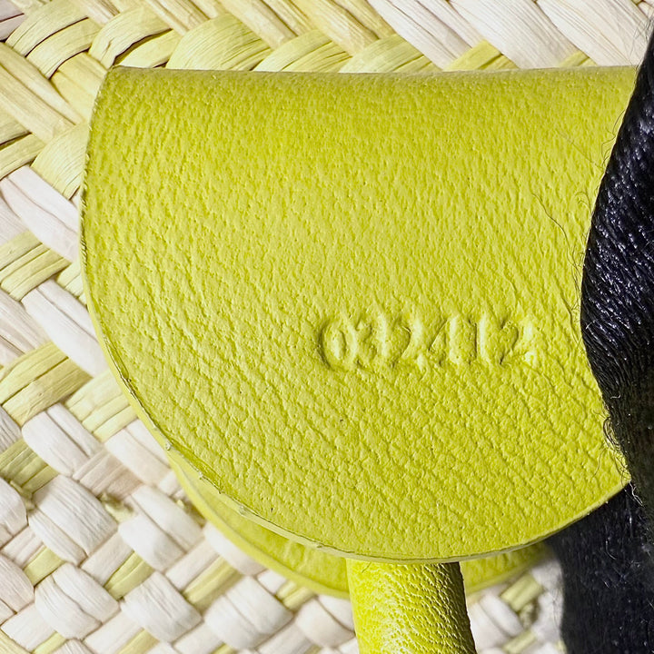 Loewe Anagram Palm Leaf Small Basket Bag