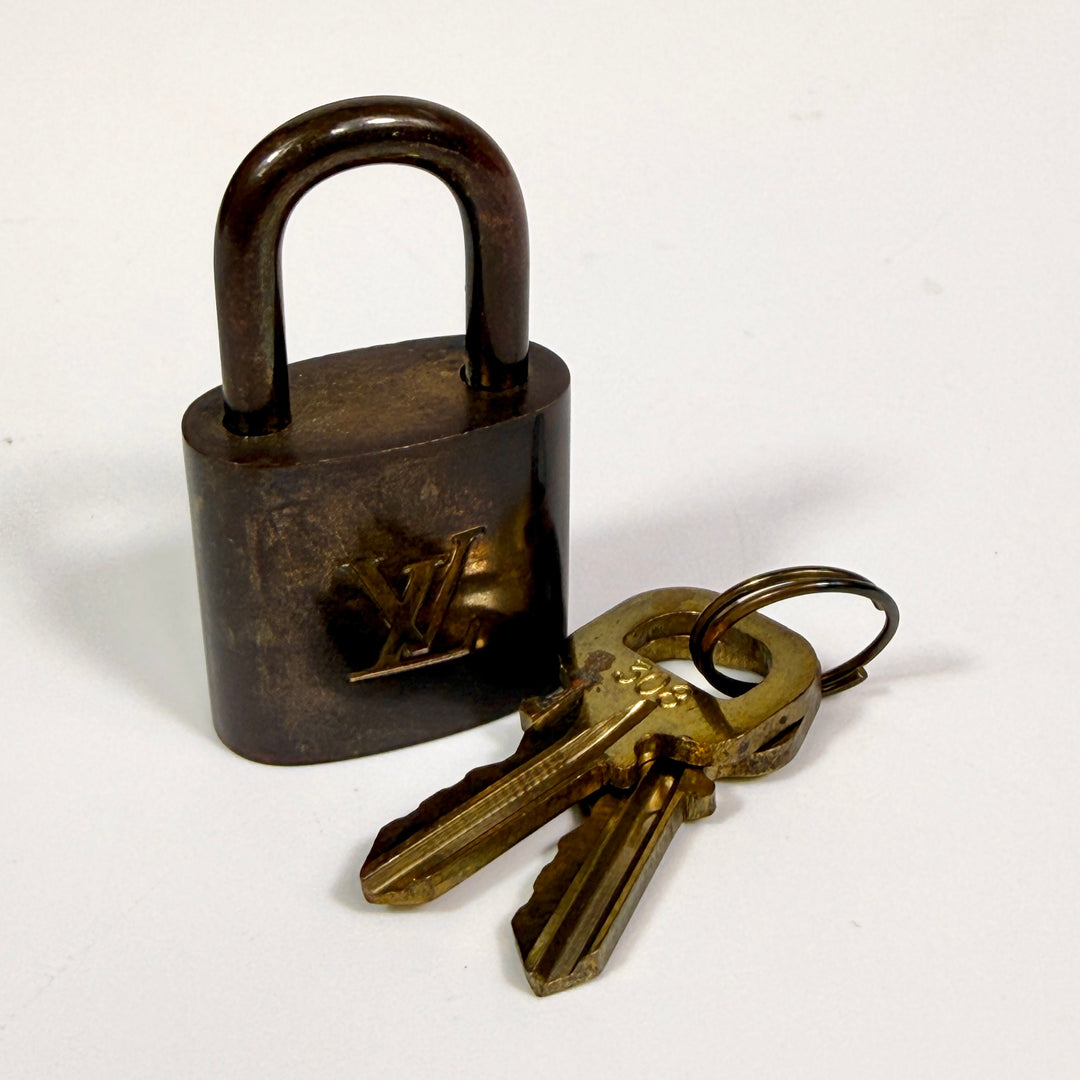 Louis Vuitton Monogram Ellipse MM