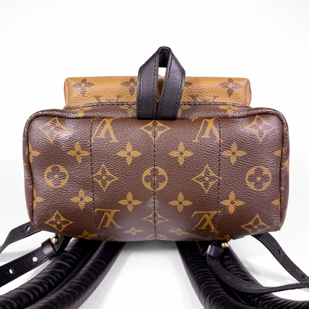 Louis Vuitton Reverse Monogram Palm Springs Backpack PM