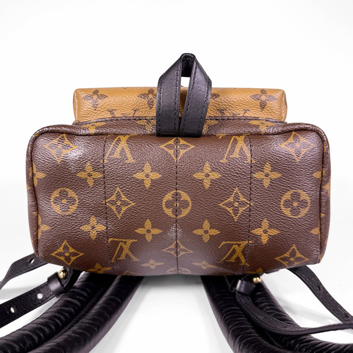 Louis Vuitton Reverse Monogram Palm Springs Backpack PM