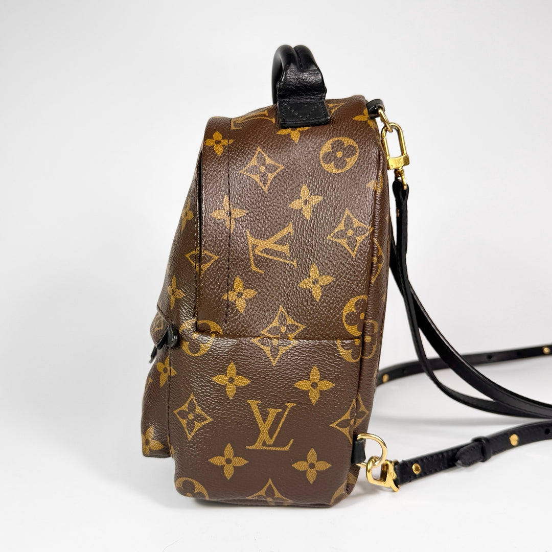Louis Vuitton Monogram Mini Palm Springs Backpack