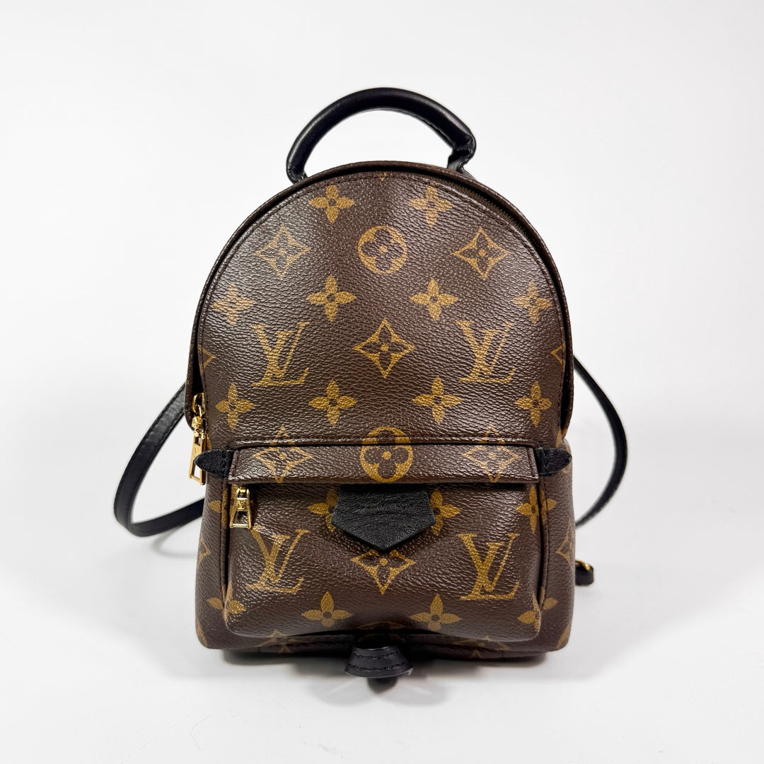 Louis Vuitton Monogram Mini Palm Springs Backpack