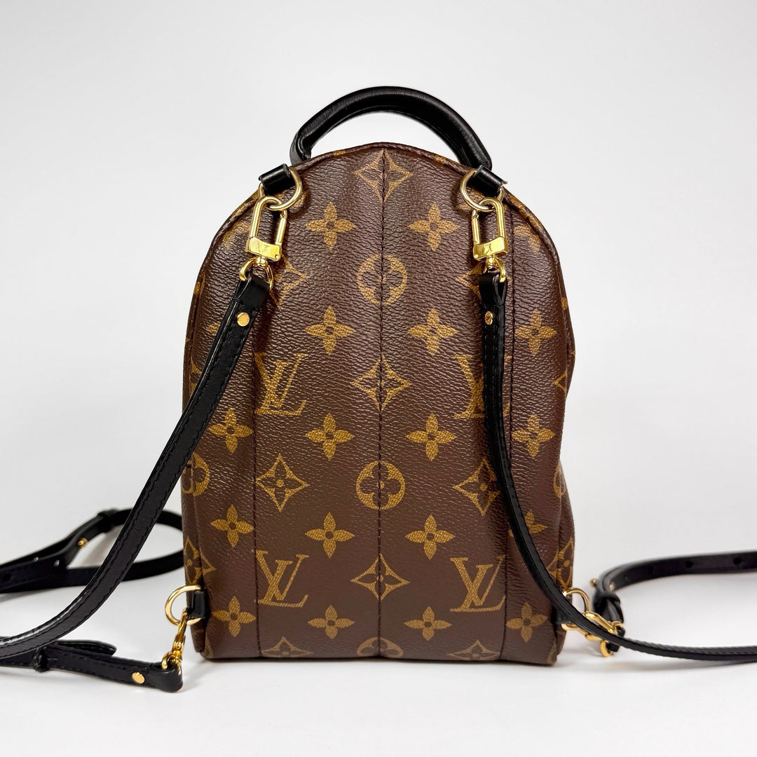 Louis Vuitton Monogram Mini Palm Springs Backpack